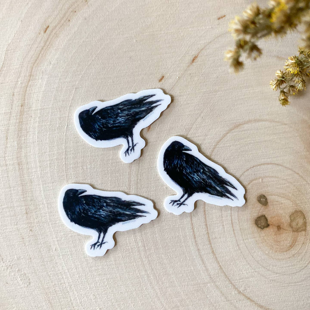 Mini Raven Sticker