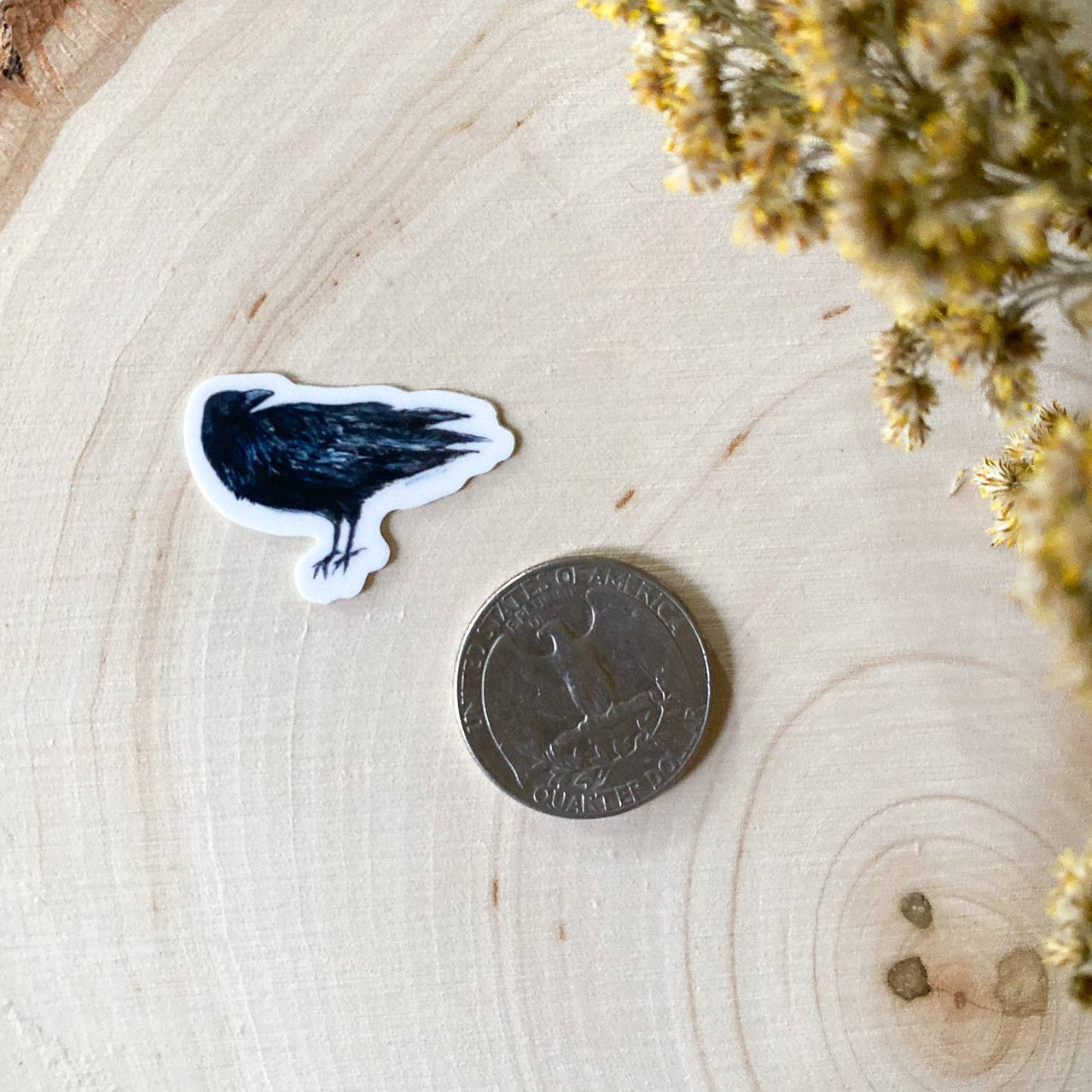Mini Raven Sticker
